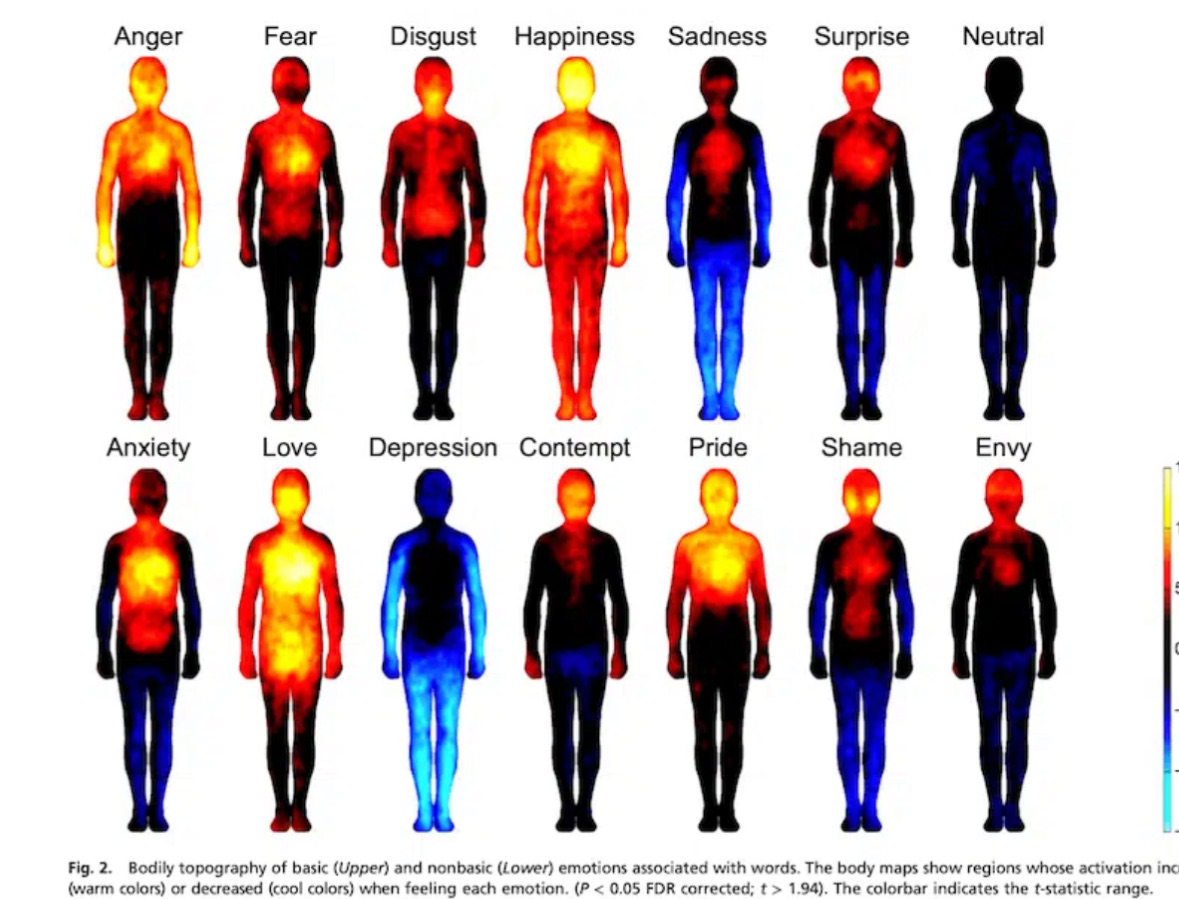 lichaamsgerichte therapie betekent ook werken met energie lichaamsgerichte therapie betekent ook werken met energie