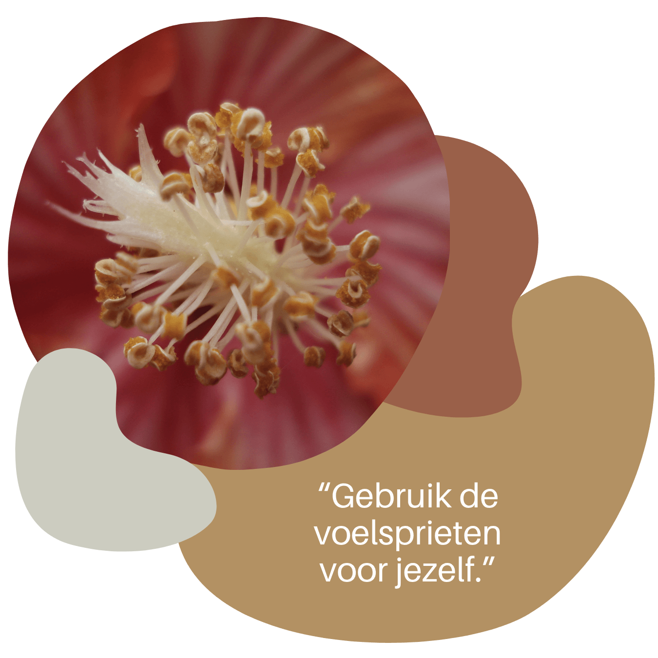 workshop vertrouwen uitstralen