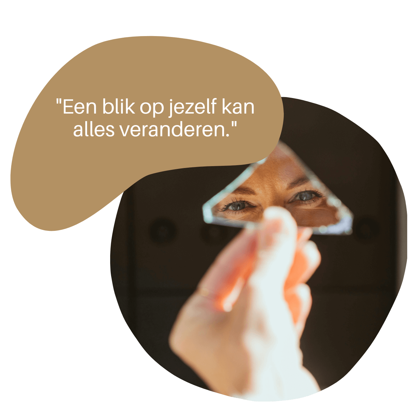 videoanalyse videoanalyse